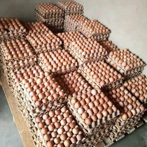 1 Tray of Broiler Eggs each Kshs. 420