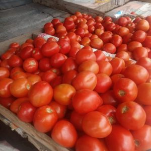 1 Kg of Tomatoes each Kshs 150