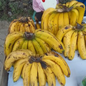Edible Ripe Bananas each Kshs 10