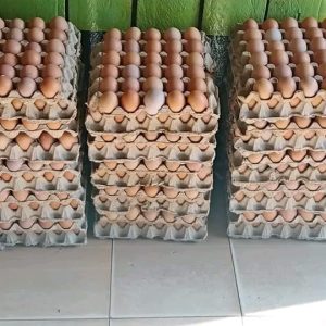 1 Tray of Eggs for Kshs 400