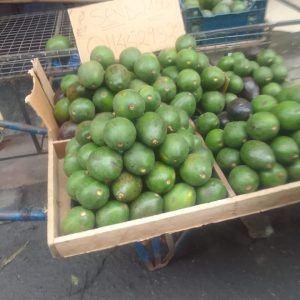 Avocados each Kshs 40