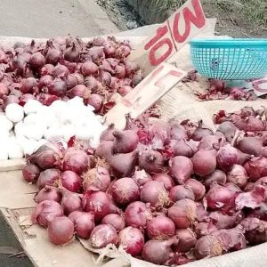 1 Kg of Red Purple Onions for Kshs 80