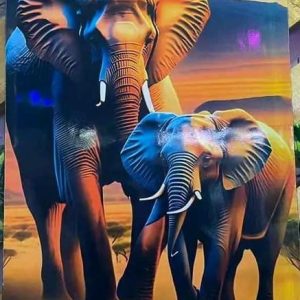 Elephant Printed Wall Art each Kshs 400