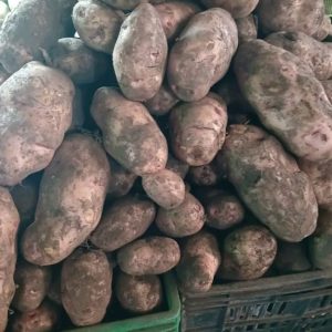 1 Kg of Irish Potatoes Kshs 130