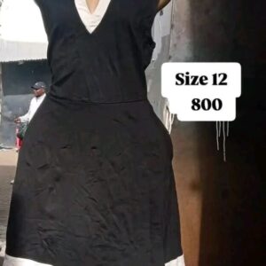 Ladies' Dress each Kshs 800