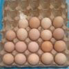 1 egg each Kshs 30