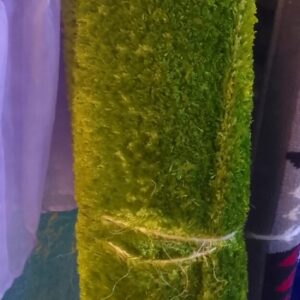4*6 Grass Carpet KSHS 4000